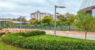 Профессиональное озеленение улиц в Архангельске в октябре