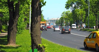 Посадка деревьев и кустарников в Архангельске — стоимость от 1234 руб.
